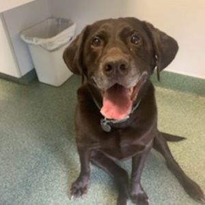 Meet your Posher, Mcshell57